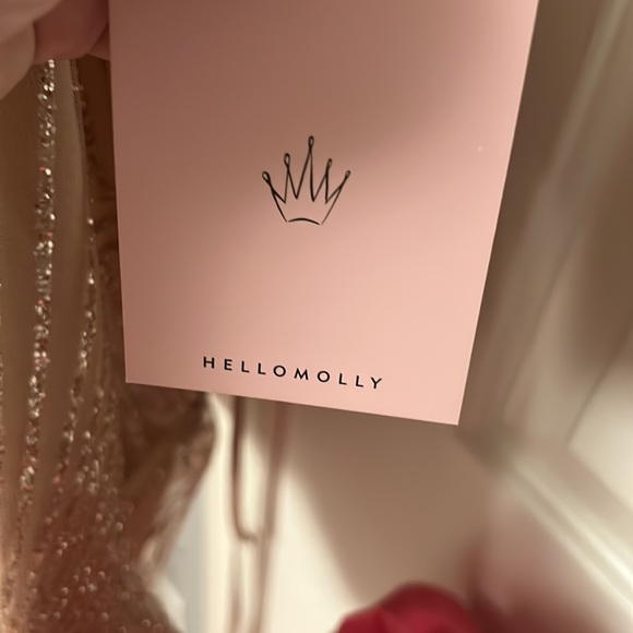 HELLO MOLLY ROARING 20s DRESS BRONZE - Picture 6 of 6